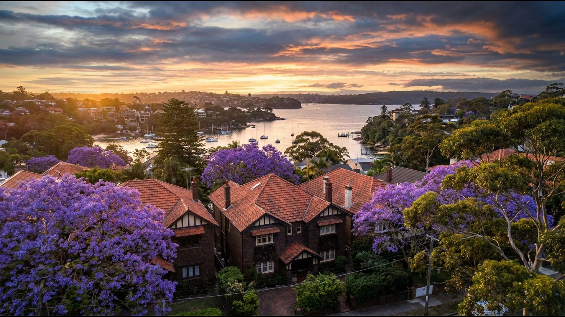 Electrician in Balgowlah